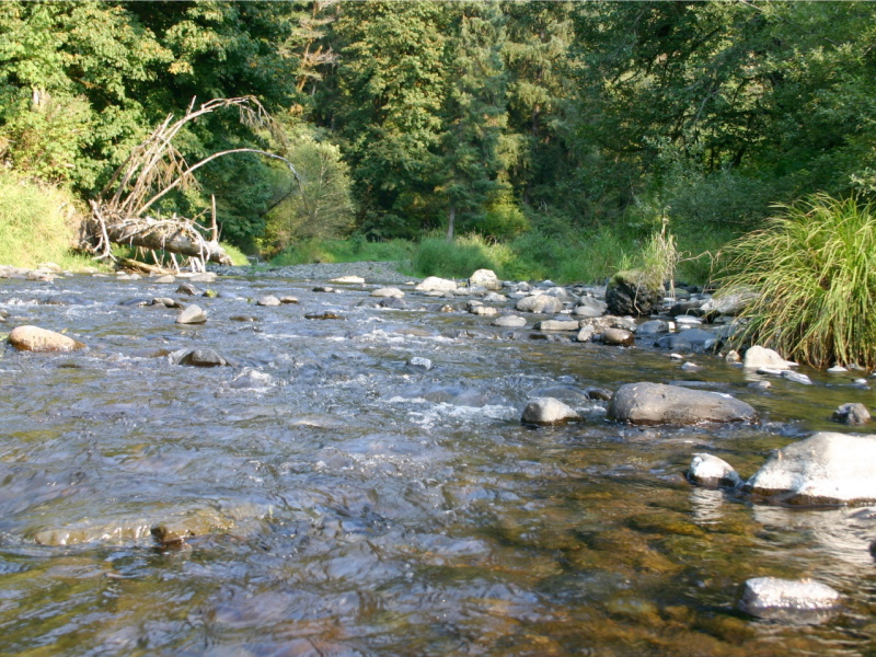 drift-creek